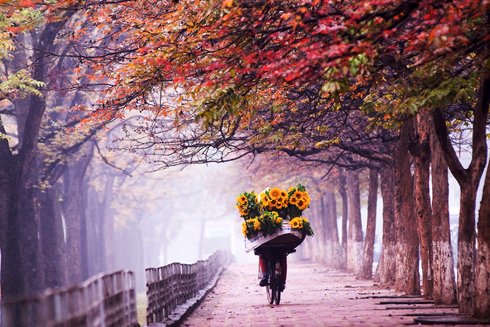 Voyager au Vietnam pour sentir l’automne d’Hanoi – saison des émotions