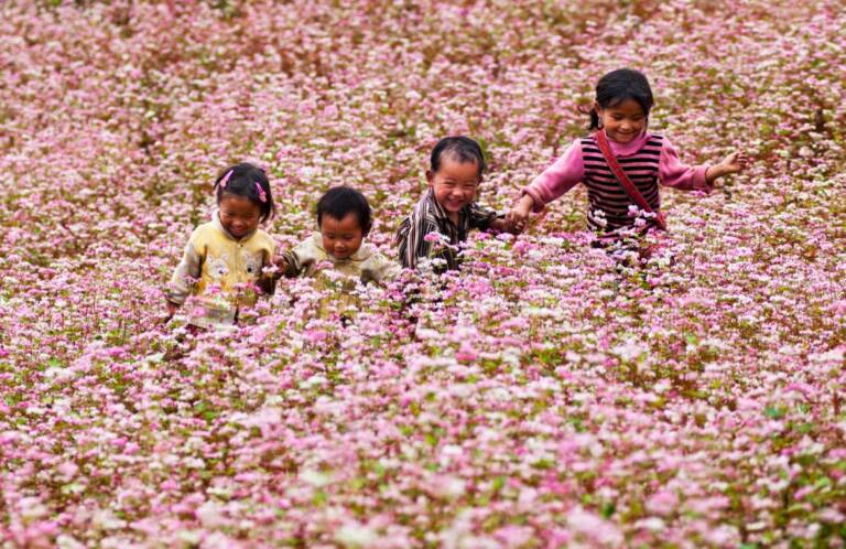 Le paysage captive tous les voyageurs lors du voyage au Vietnam