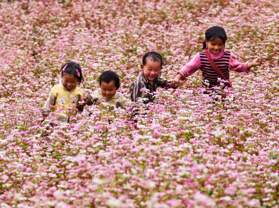 Le paysage captive tous les voyageurs lors du voyage au Vietnam