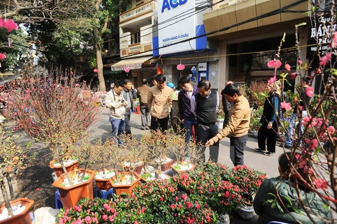 Le marché aux fleurs du printemps de Hang Luoc - Marchés- Voyage au Vietnam