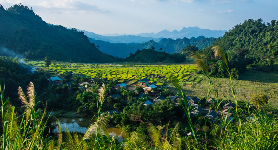 Présentation de Mai Chau