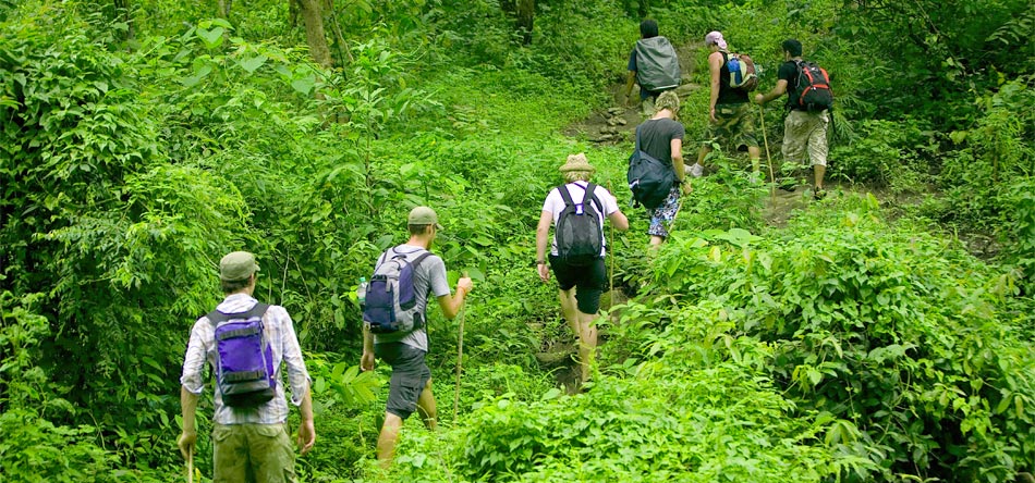 vietnam wildlife, cuc phuong nation park