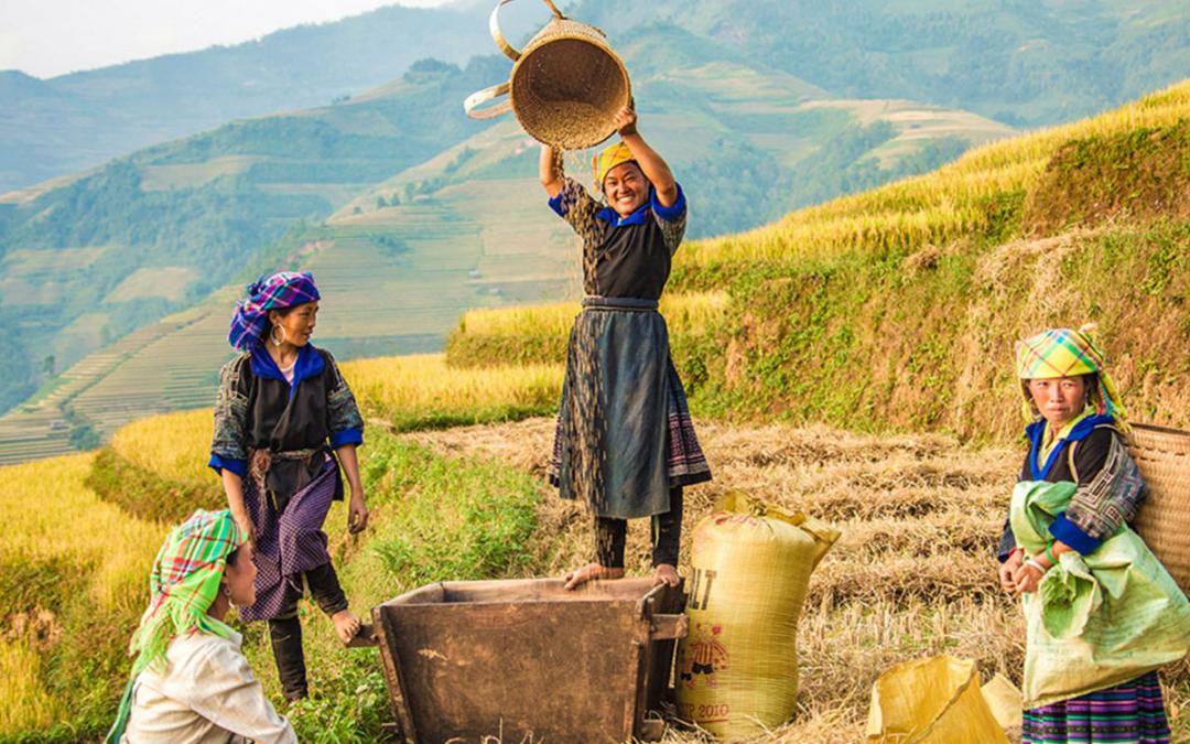 visite à Ha Giang, guide de voyage à Ha Giang