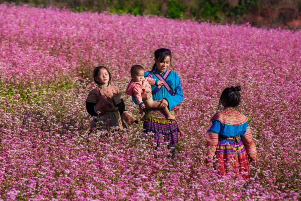 que faire à Ha Giang, circuit de Ha Giang, visiter Ha Giang