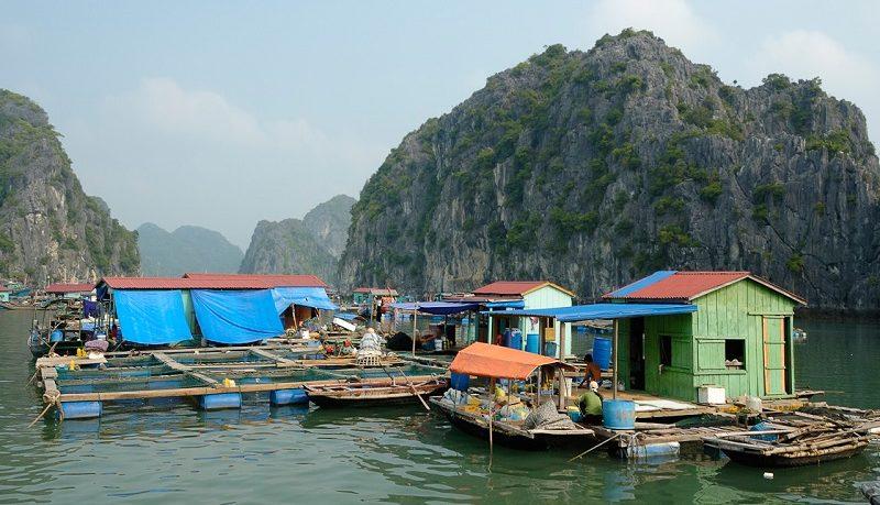 cai beo floating village