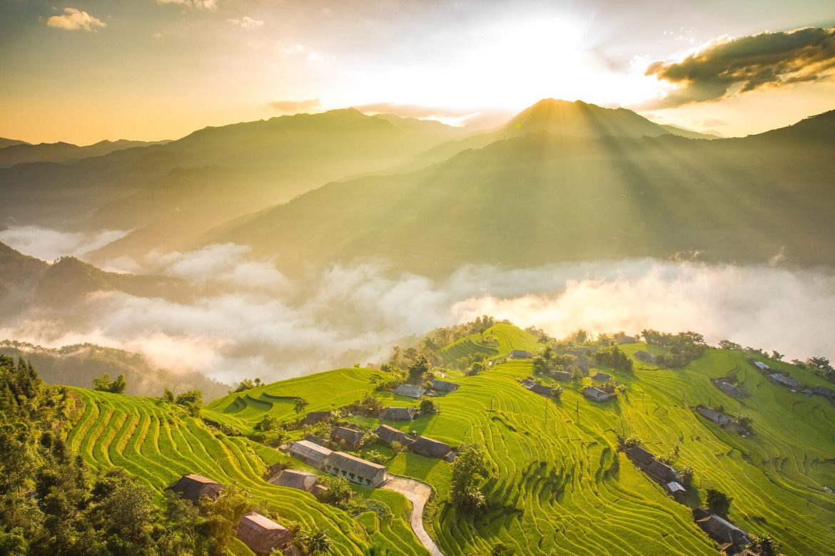 Meilleure période pour admirer les rizières au Vietnam