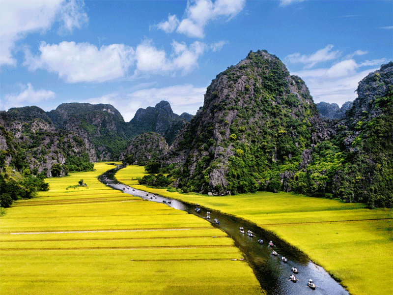Meilleure période pour admirer les rizières au Vietnam
