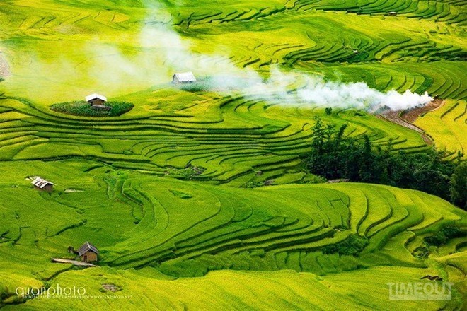 vacances au vietnam, meilleure période pour admirer les rizières au Vietnam
