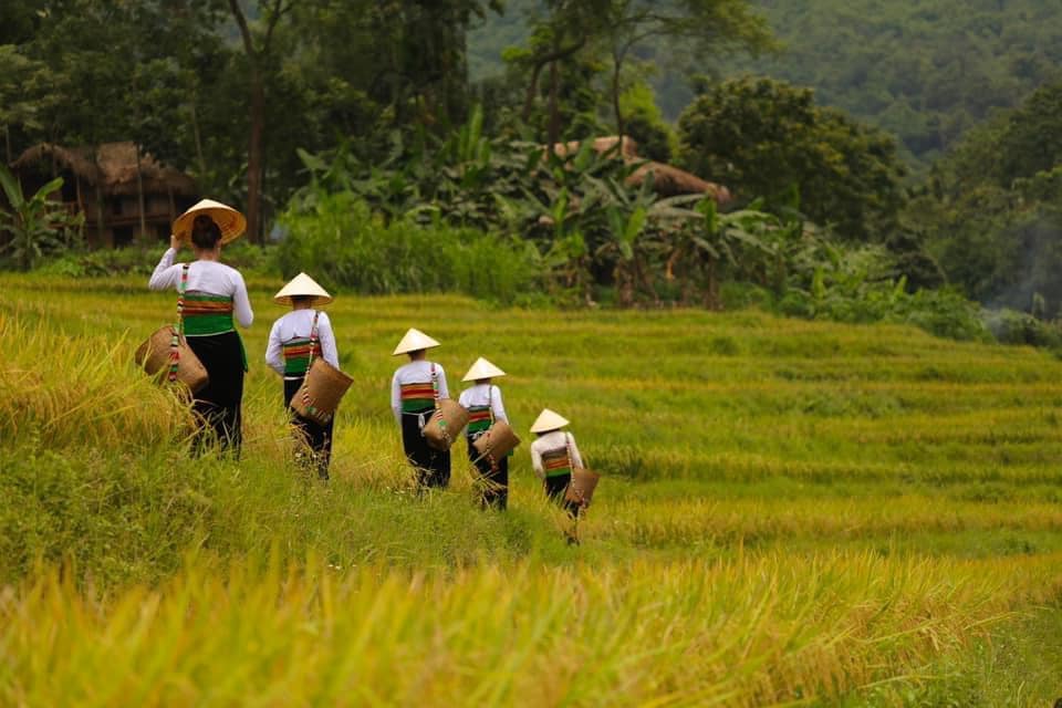Pu Luong,