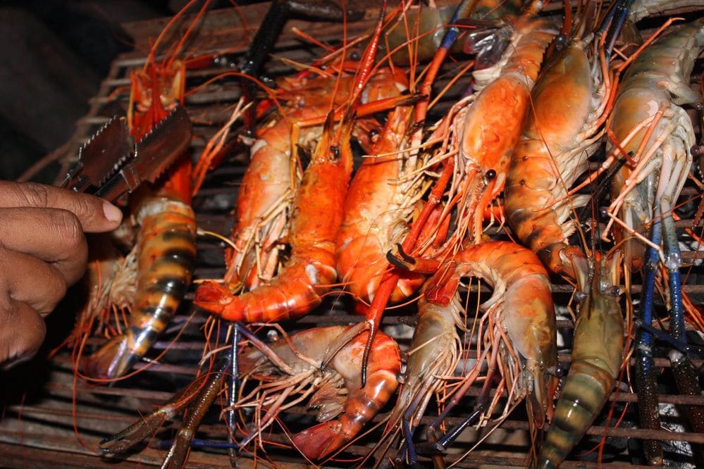 île de Koh Kong, Cambodge, île de Koh Kong, réservation à Koh Kong, cuisine de Koh Kong, île de Koh Kong Krao, attractions touristiques de Koh Kong