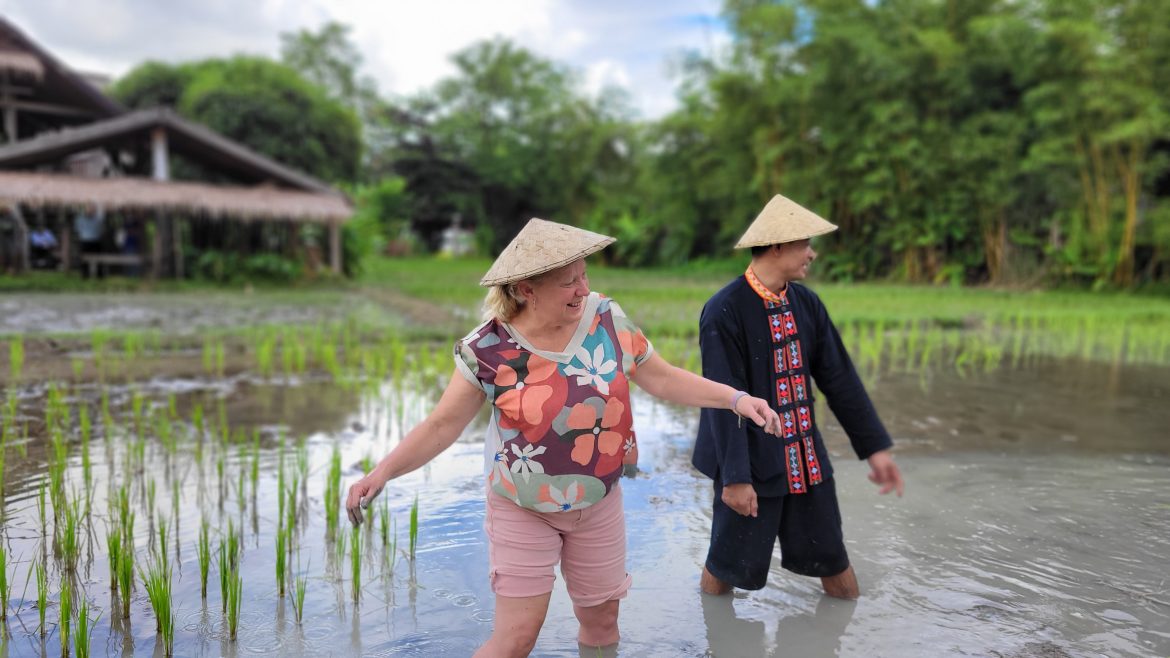 Devenez agriculteur à Living Lands, Laos