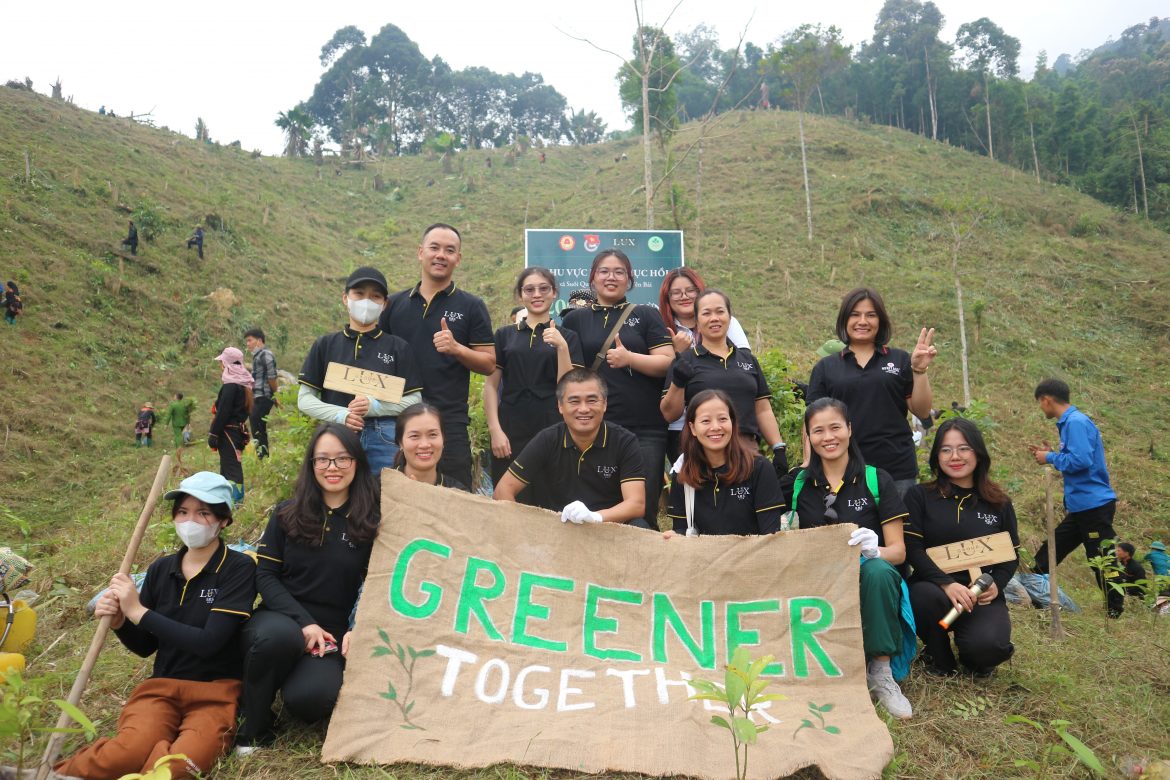 Piantagione di alberi a Yen Bai