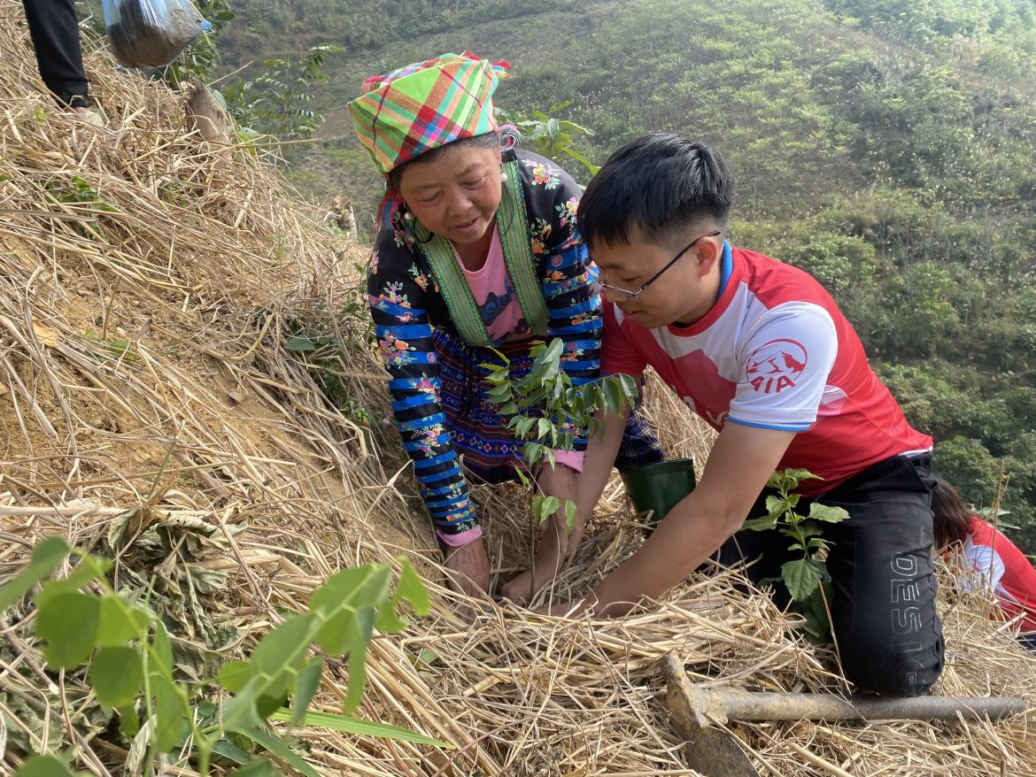 Ensemble pour planter des arbres avec le projet Green Seedling