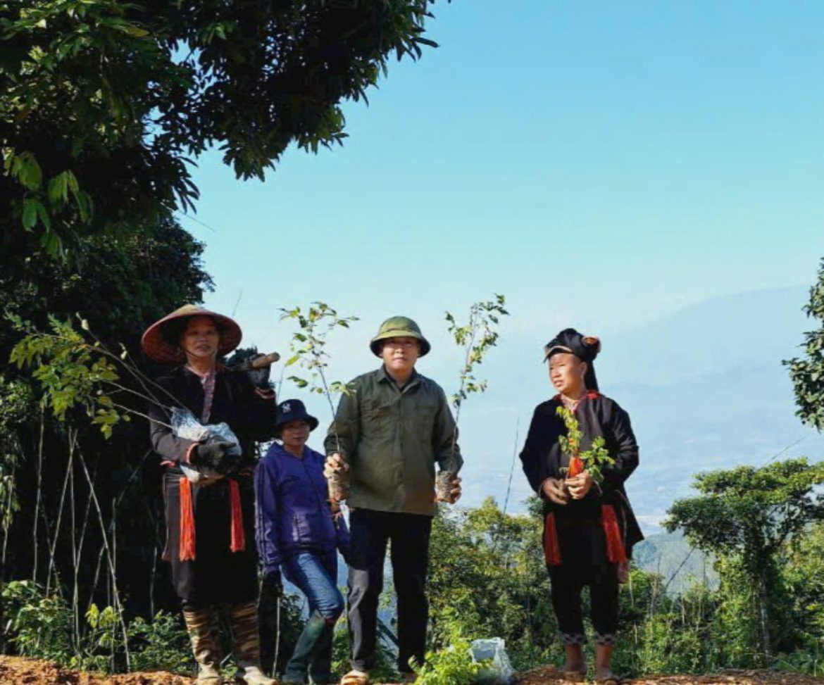 Plantation d'arbres à Yen Bai