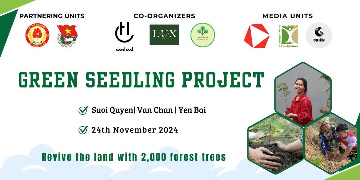 Projet de plantation d'arbres verts à Yen Bai