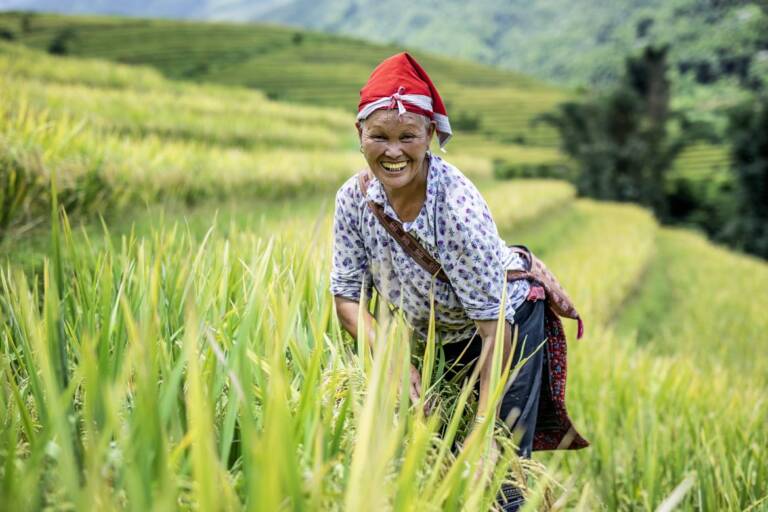 agence de voyage locale au Vietnam