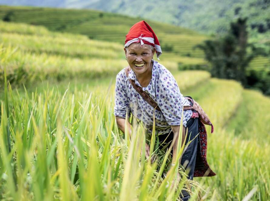 agence de voyage locale au Vietnam