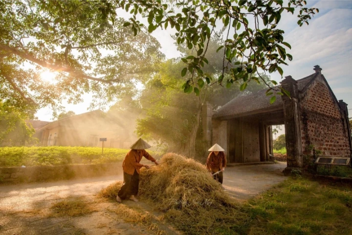 agence de voyage locale au Vietnam