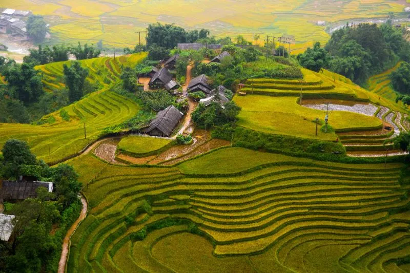 agence de voyage locale au Vietnam, Vietnam du Nord et du Sud