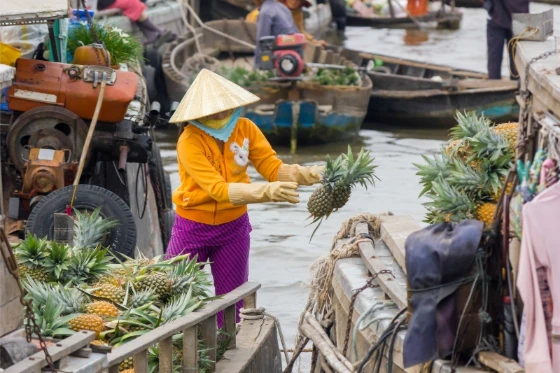 voyage privé au vietnam, agence voyage sur mesure vietnam