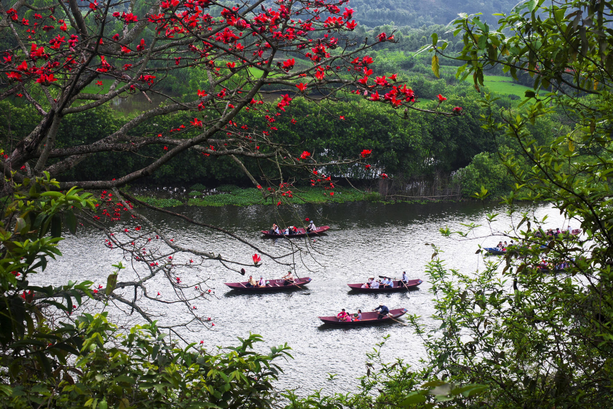 vietnam du nord ou du sud