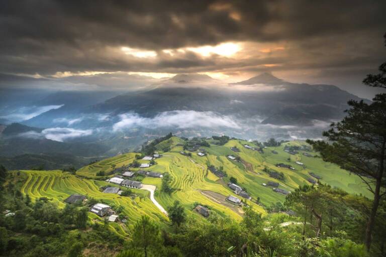 Vue panoramique sur les rizières en terrasses et les montagnes embrumées lors d'un circuit 12 jours au Vietnam dédié au trekking.