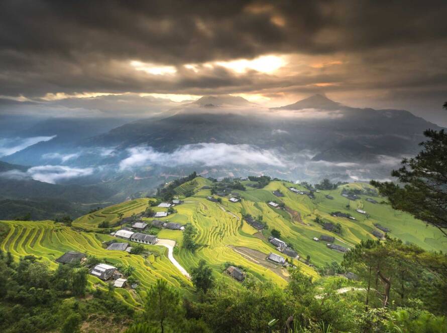 Vue panoramique sur les rizières en terrasses et les montagnes embrumées lors d'un circuit 12 jours au Vietnam dédié au trekking.