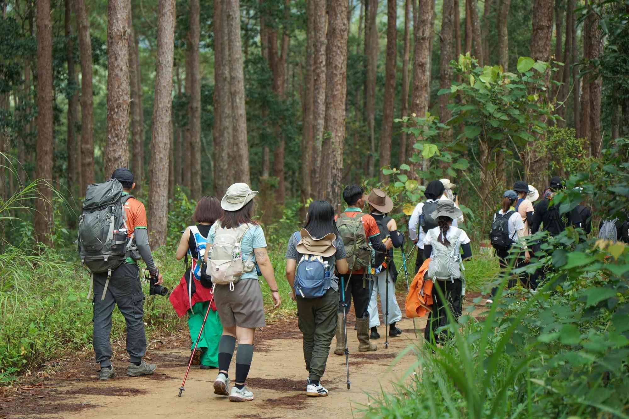 Randonneurs en marche sur un sentier forestier lors d'un circuit 12 jours au Vietnam.