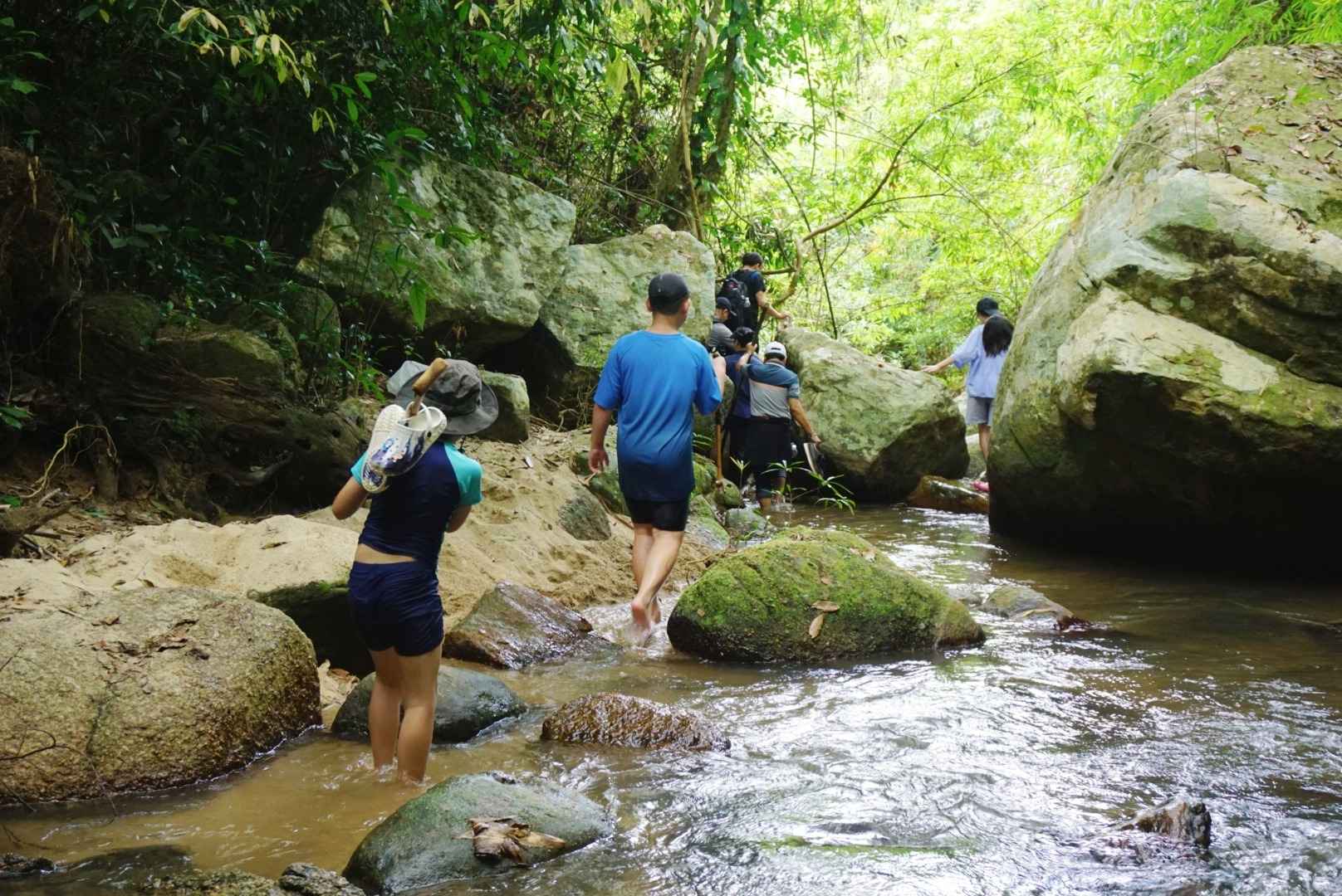 Famille marchant le long d'un ruisseau en pleine forêt tropicale lors d'un voyage Vietnam en famille.