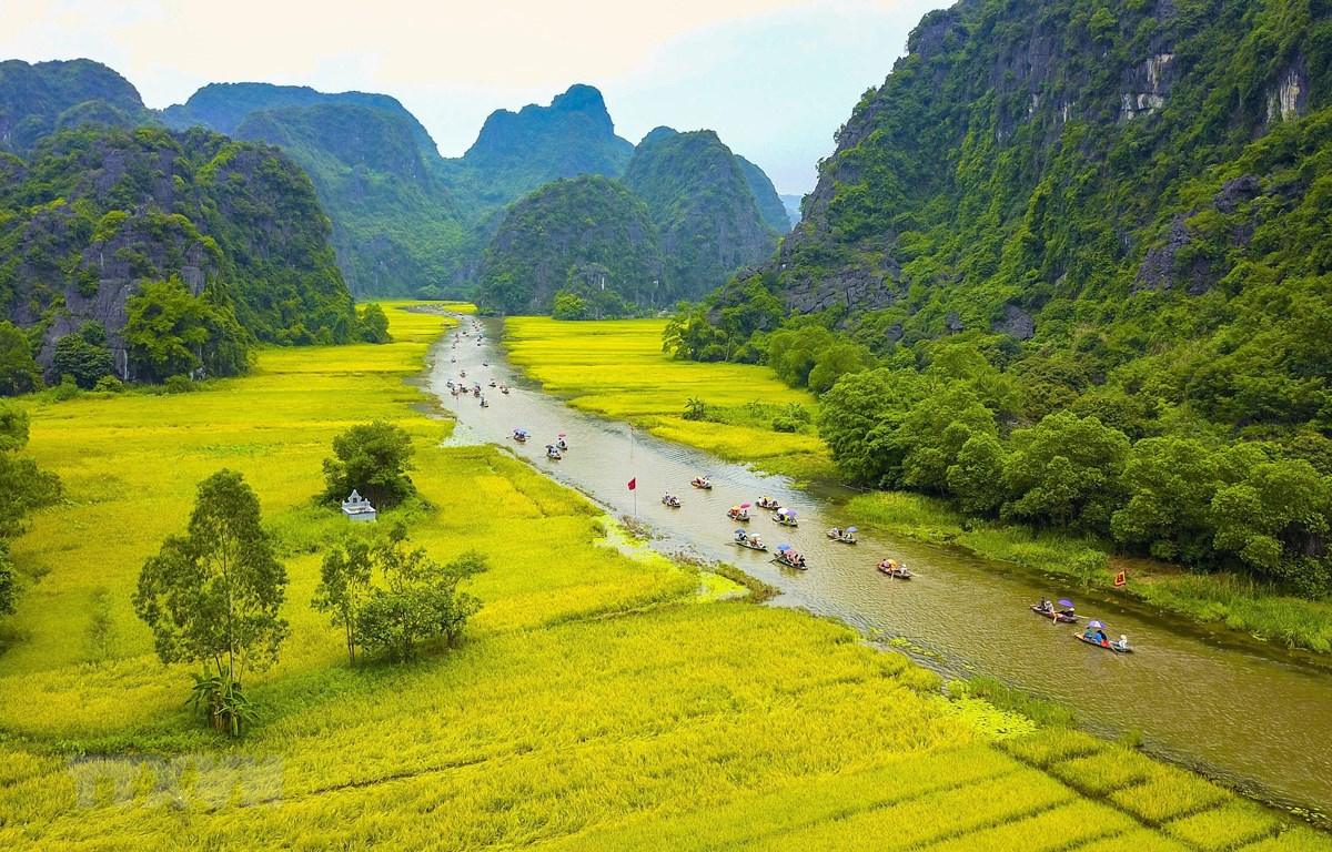 Balade en barque traditionnelle le long des rizières et des reliefs karstiques lors d'un voyage Vietnam en famille.