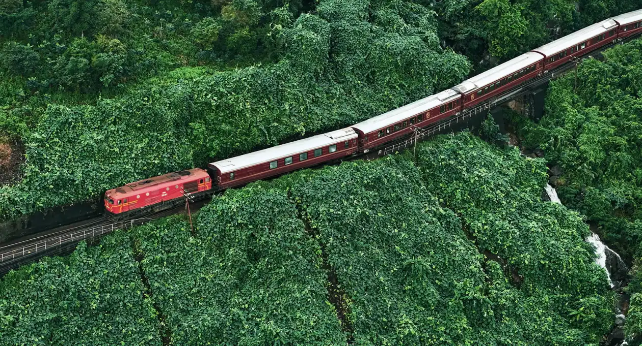 Le prix voyage Vietnam 2 semaines justifié par l'expérience panoramique du train SJourney traversant la nature sauvage.