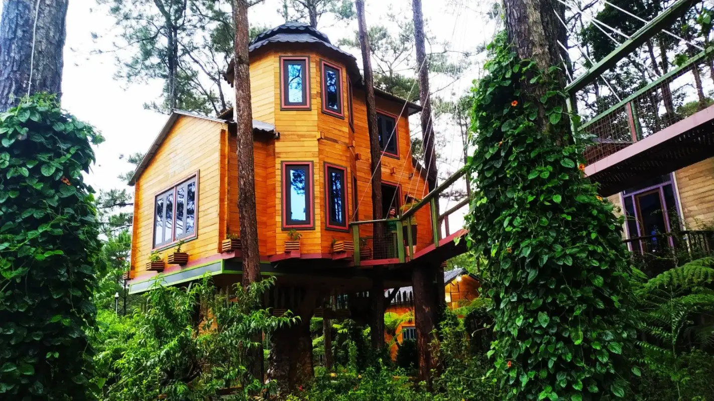 Cabane en bois intégrée aux grands arbres de la forêt de Măng Đen pour un circuit Vietnam sur mesure