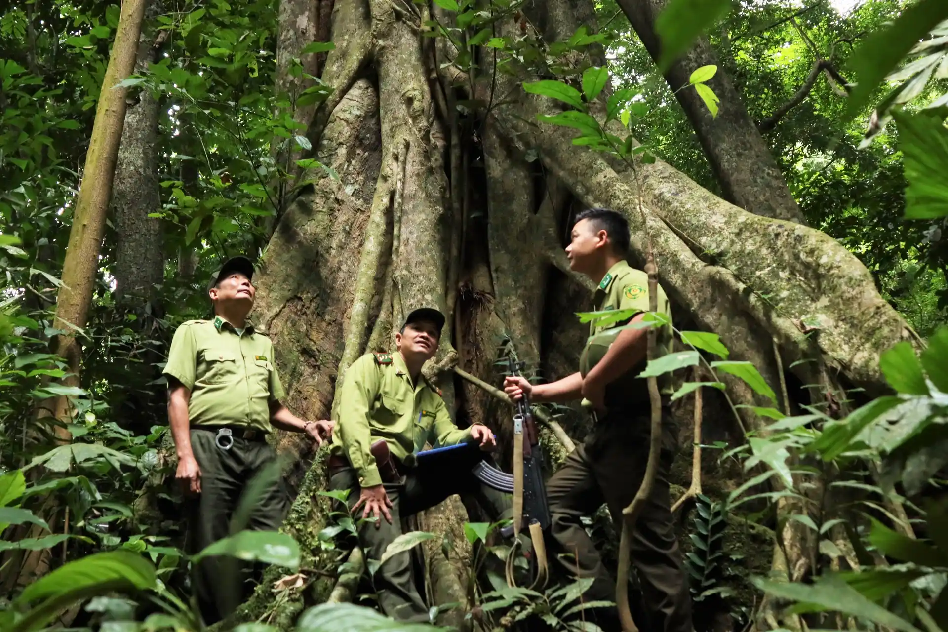 Un tour operateur Vietnam coordonne des marches encadrées par des gardes forestiers pour la surveillance des forêts protégées.