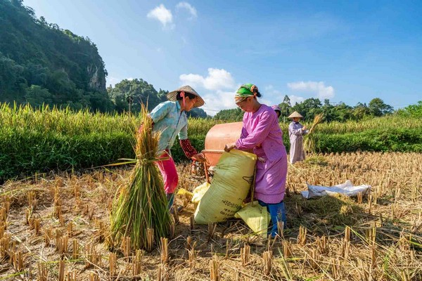 Randonnée dans la vallée de Mai Chau 7 jours