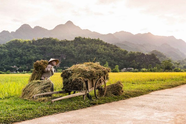 La vallée de Mai Chau et ses tribus ethniques 2 jours