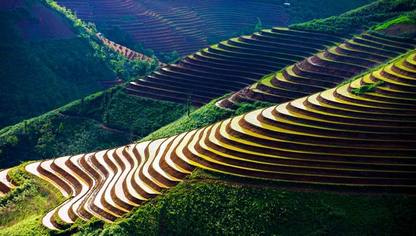 Trekking – Niveau Avancer Sapa 7 jours