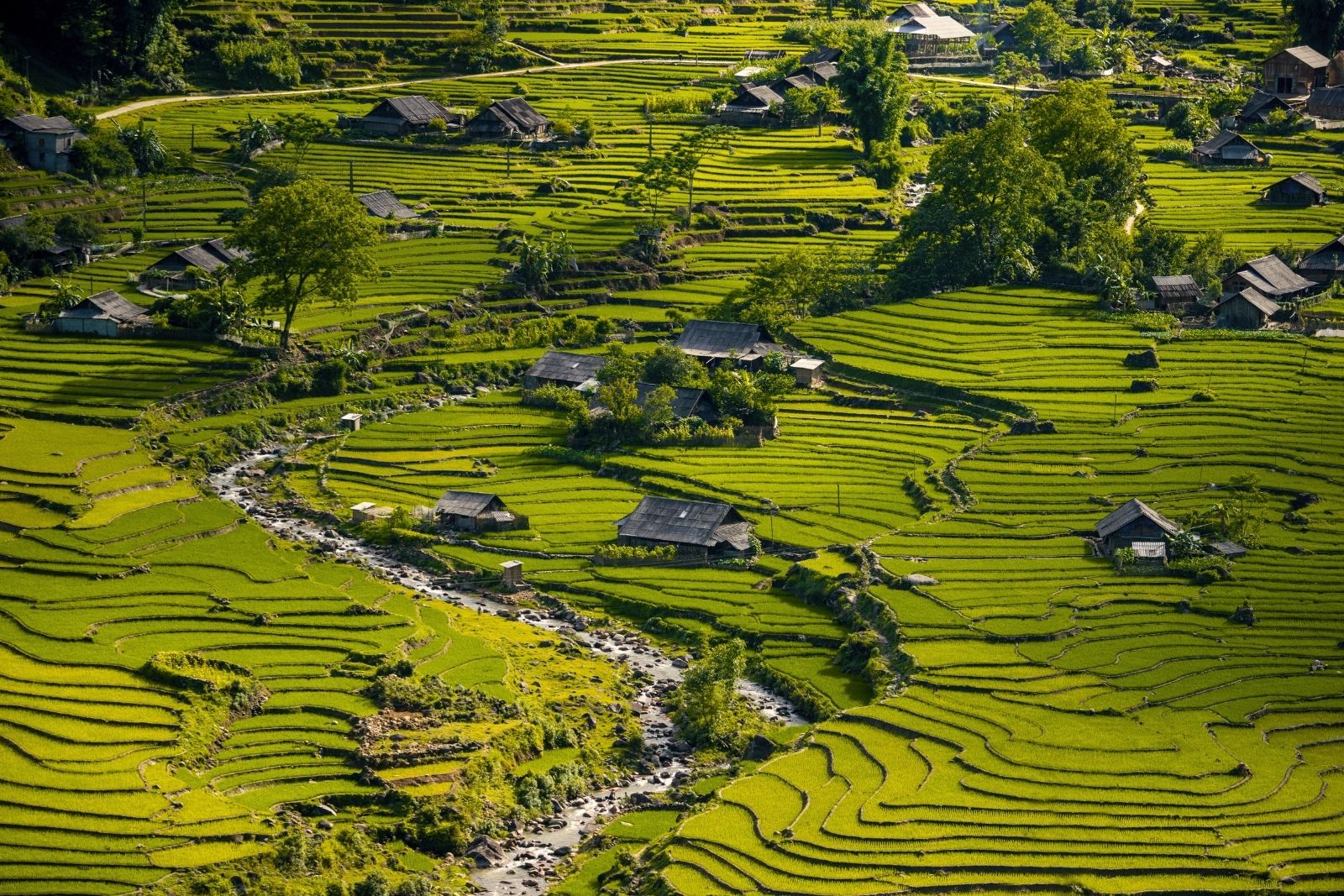 Trésors du Nord Vietnam 10 Jours