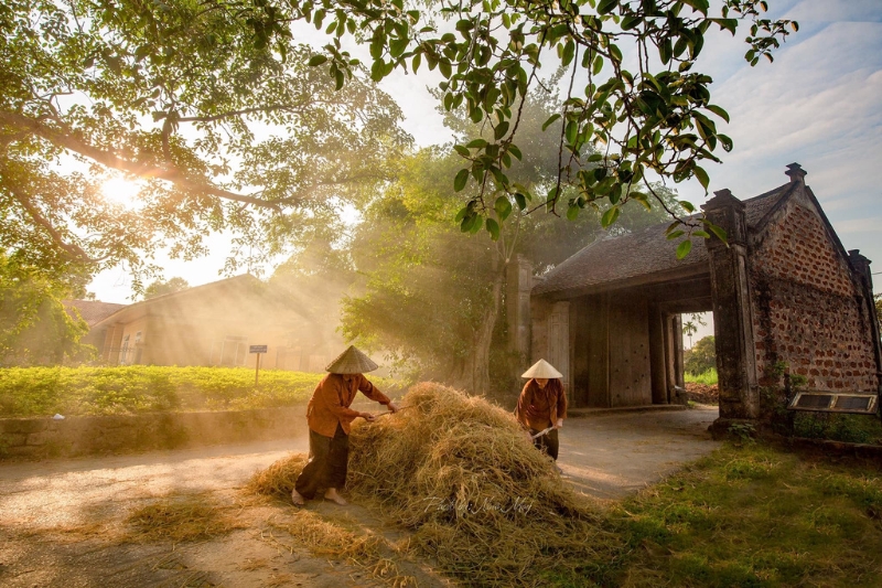 LAO CAI - THANH KIM VILLAGE - SAPA [Guide/B]