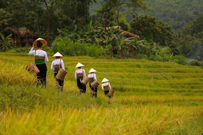 HANOI – HALONG BAY – OVERNIGHT ON CRUISE [Guide/B/L/D]