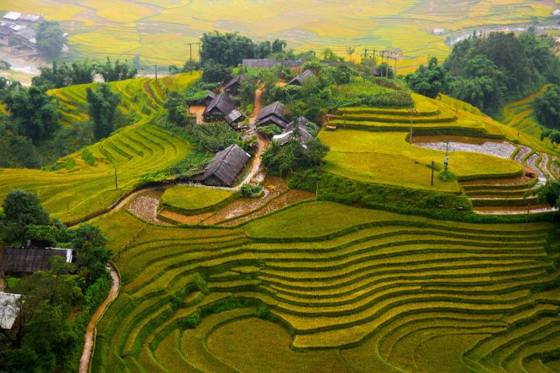 LAO CAI - THANH KIM VILLAGE - SAPA [Guide/B]