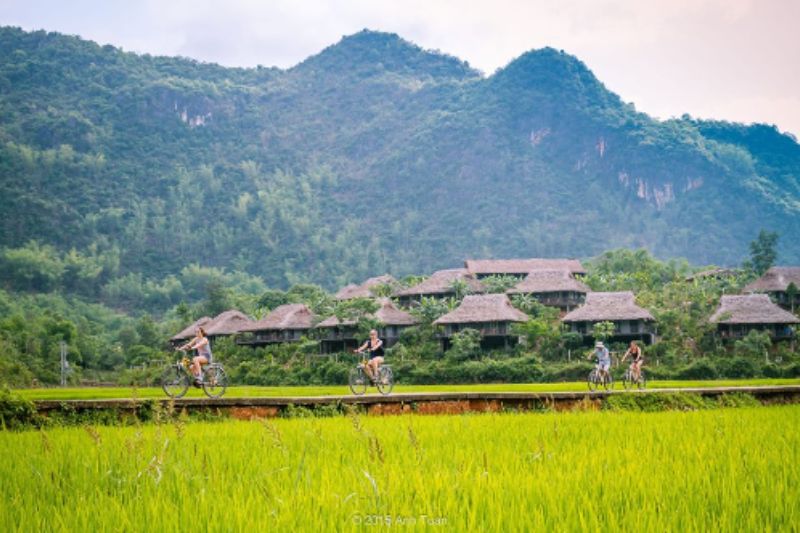 HANOI – HALONG BAY – OVERNIGHT ON CRUISE [Guide/B/L/D]