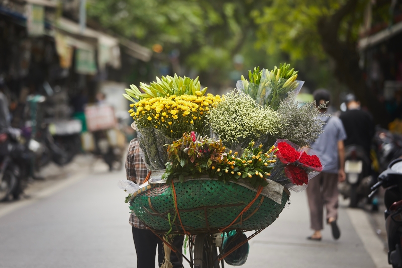 HANOI ARRIVAL [Guide/D]