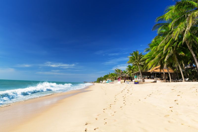HO CHI MINH DEPARTURE [Guide/B]