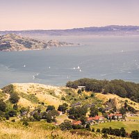 DocArnica, France